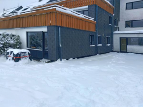 Modern holiday home near Winterberg
